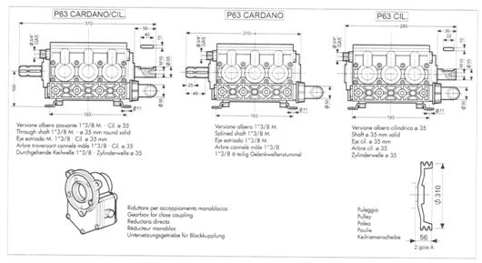 P63-Versionen